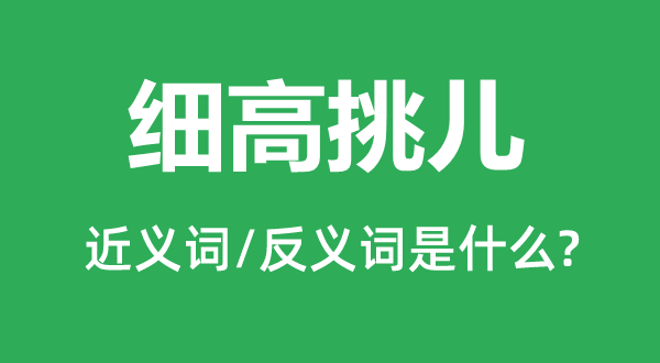 細(xì)高挑兒的近義詞和反義詞是什么,細(xì)高挑兒是什么意思