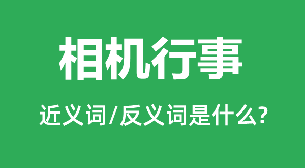 相機行事的近義詞和反義詞是什么,相機行事是什么意思