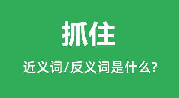 抓住的近義詞和反義詞是什么,抓住是什么意思