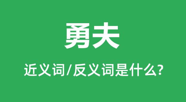 勇夫的近義詞和反義詞是什么,勇夫是什么意思