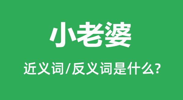 小老婆的近義詞和反義詞是什么,小老婆是什么意思