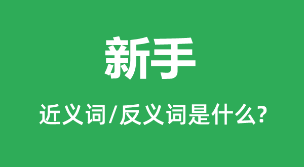 新手的近義詞和反義詞是什么,新手是什么意思