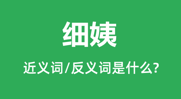細(xì)姨的近義詞和反義詞是什么,細(xì)姨是什么意思
