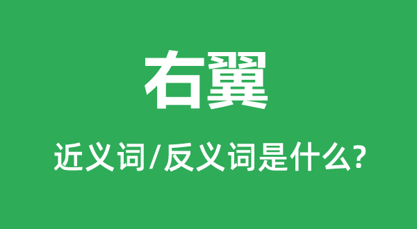 右翼的近義詞和反義詞是什么,右翼是什么意思