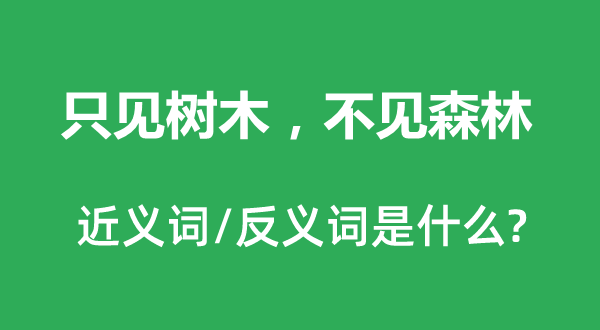 只見樹木，不見森林的近義詞和反義詞是什么,只見樹木，不見森林是什么意思