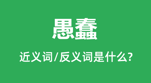愚蠢的近義詞和反義詞是什么,愚蠢是什么意思