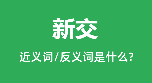 新交的近義詞和反義詞是什么,新交是什么意思