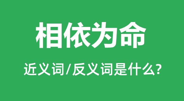 相依為命的近義詞和反義詞是什么,相依為命是什么意思