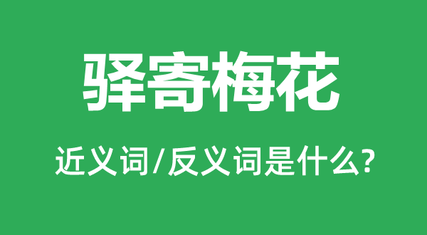 驛寄梅花的近義詞和反義詞是什么,驛寄梅花是什么意思