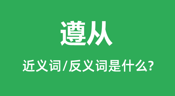 遵從的近義詞和反義詞是什么,遵從是什么意思