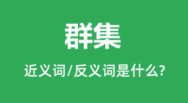 群集的近義詞和反義詞是什么,群集是什么意思