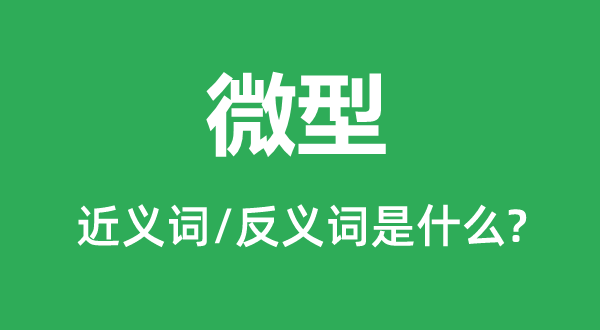 微型的近義詞和反義詞是什么,微型是什么意思