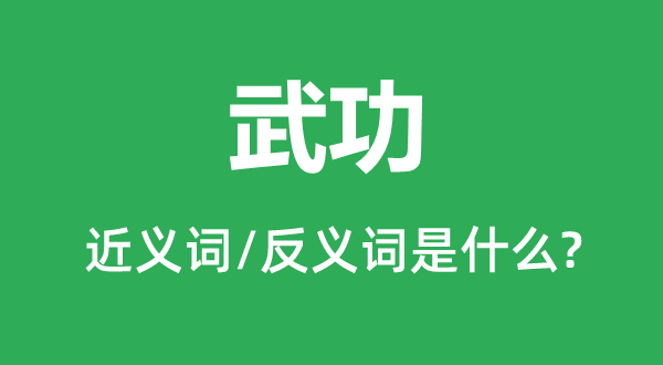 武功的近義詞和反義詞是什么,武功是什么意思