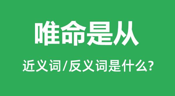 唯命是從的近義詞和反義詞是什么,唯命是從是什么意思