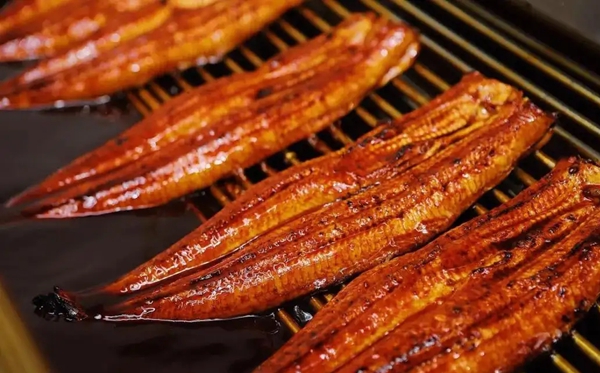 鰻魚(yú)的讀音,鰻字怎么讀拼音是什么,鰻魚(yú)的鰻為什么不讀第四聲