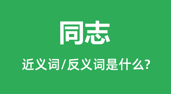 同志的近義詞和反義詞是什么,同志是什么意思