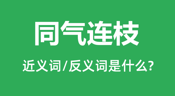 同氣連枝的近義詞和反義詞是什么,同氣連枝是什么意思
