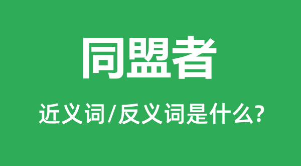 同盟者的近義詞和反義詞是什么,同盟者是什么意思
