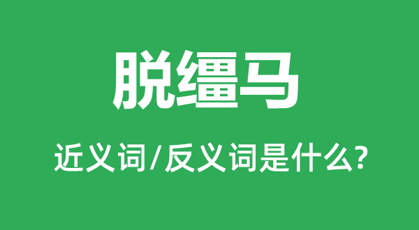 脫韁馬的近義詞和反義詞是什么,脫韁馬是什么意思