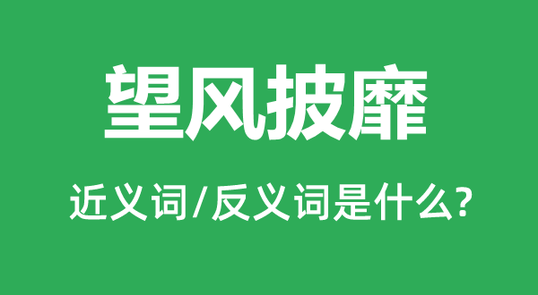 望風(fēng)披靡的近義詞和反義詞是什么,望風(fēng)披靡是什么意思