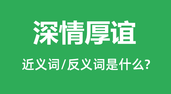 深情厚誼的近義詞和反義詞是什么,深情厚誼是什么意思
