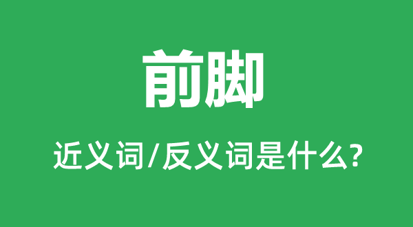 前腳的近義詞和反義詞是什么,前腳是什么意思