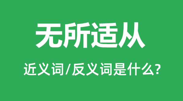 無所適從的近義詞和反義詞是什么,無所適從是什么意思
