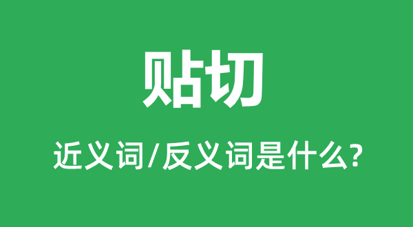貼切的近義詞和反義詞是什么,貼切是什么意思