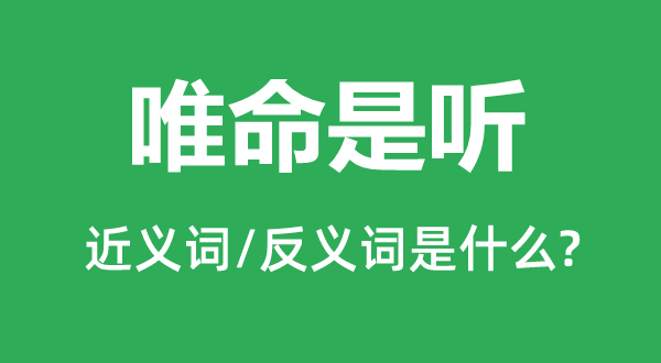 唯命是聽(tīng)的近義詞和反義詞是什么,唯命是聽(tīng)是什么意思