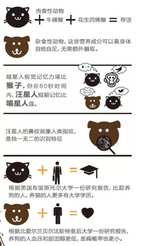 貓為什么比狗高冷
