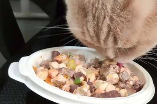 貓食怎么做