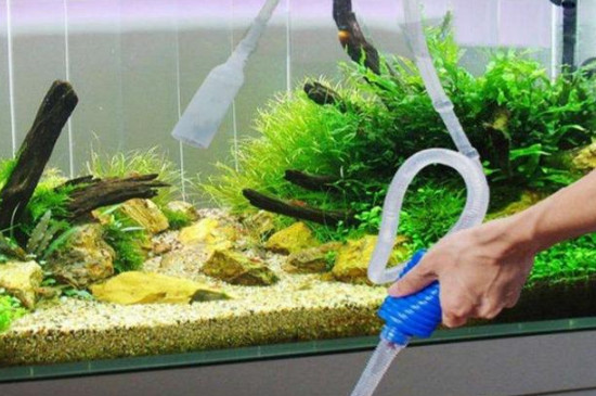 不打氧的魚幾天一換水