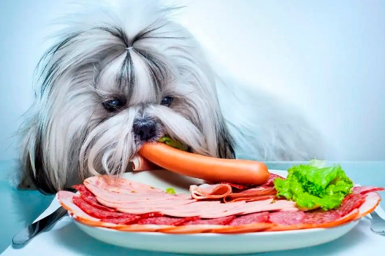 狗狗可以吃清水煮牛肉嗎