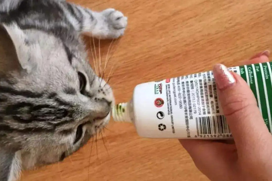 貓吃了化毛膏是拉出來還是吐