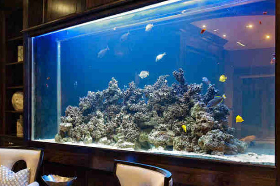 魚缸加熱棒的正確使用方法