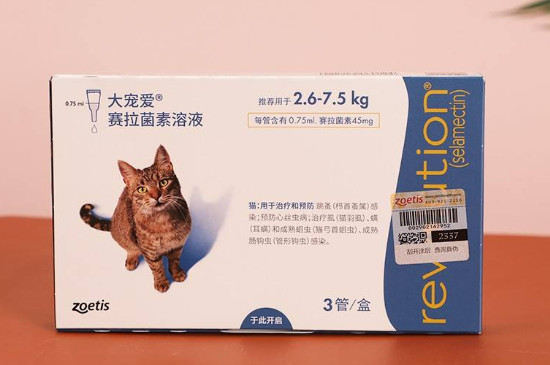 妙寵愛和大寵愛的區(qū)別