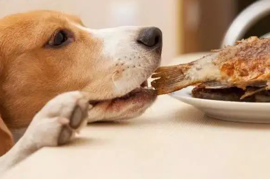狗狗能吃螃蟹肉嗎?