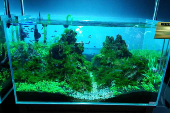 魚缸殺菌燈正確使用方法