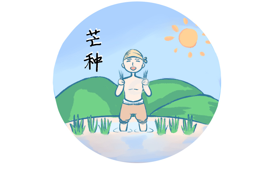 芒種習(xí)俗