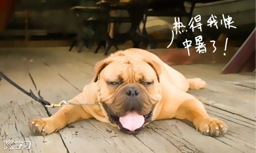 2021年三伏天的時間表