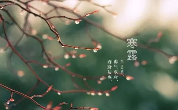 寒露節(jié)氣的含義是什么,寒露節(jié)氣的特點和風(fēng)俗簡介
