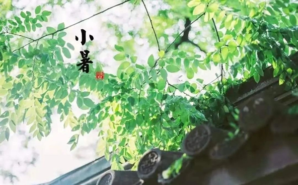 小暑節(jié)氣的含義是什么,小暑節(jié)氣的特點(diǎn)和風(fēng)俗簡介