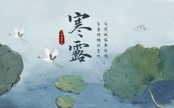 寒露節(jié)氣的含義是什么,寒露節(jié)氣的特點和風(fēng)俗簡介