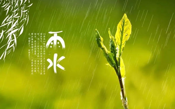 雨水節(jié)氣的含義是什么,雨水節(jié)氣的特點和風俗簡介
