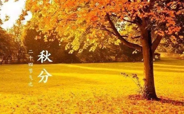 秋分節(jié)氣的含義是什么,秋分節(jié)氣的特點(diǎn)和風(fēng)俗簡(jiǎn)介