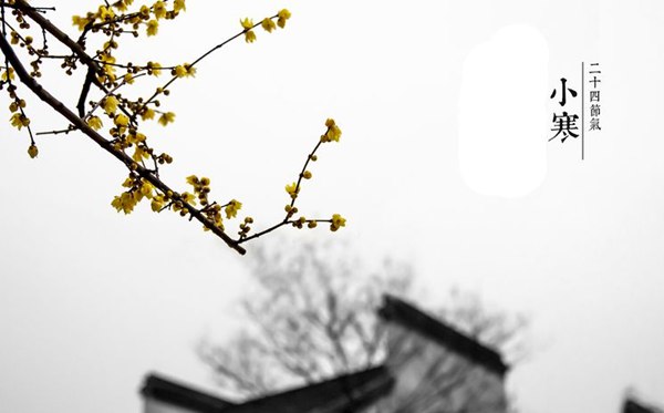 小寒節(jié)氣的含義是什么,小寒節(jié)氣的特點和風俗簡介