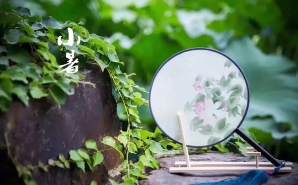 小暑節(jié)氣的含義是什么,小暑節(jié)氣的特點(diǎn)和風(fēng)俗簡介