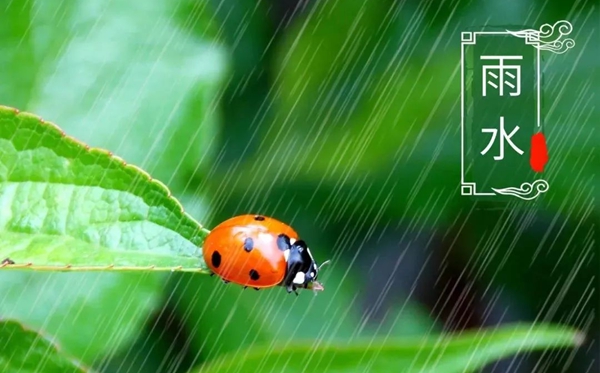 雨水節(jié)氣的含義是什么,雨水節(jié)氣的特點和風俗簡介