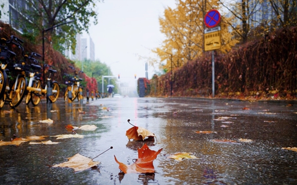 白露節(jié)氣的含義是什么,白露節(jié)氣的特點(diǎn)和風(fēng)俗簡(jiǎn)介