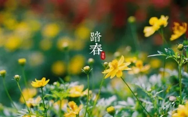 清明節(jié)氣的含義是什么,清明節(jié)氣的特點和風(fēng)俗簡介